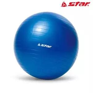 (블루) 미니 헬스 짐볼 홈트 스타스포츠 마사지짐볼 45cm (EB210-07)