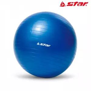 스타스포츠 짐볼 45cm 미니 (블루) (EB210-07)