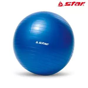 45cm 스타스포츠 미니 블루 EB210-07 짐볼 짐볼 헬스 마사지 홈트 레이닝