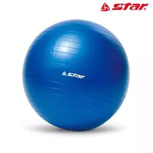 45cm 스타스포츠 미니 블루 EB210-07 짐볼 짐볼 헬스 마사지 홈트 레이닝