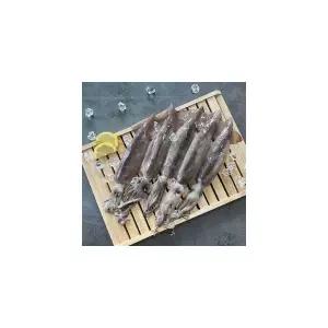 리브하우스 손질 통오징어 파지 500g 949212