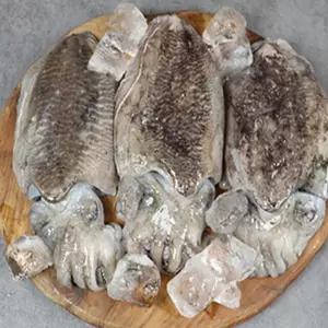 서천어부의 생물 갑오징어 1kg