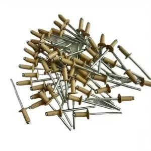 50pcs 색상 페인트 블라인드 리벳 RAL1001 라운드 헤드 중공 리벳 산업용 패스너 알루미늄 스틸 홈 장식 53