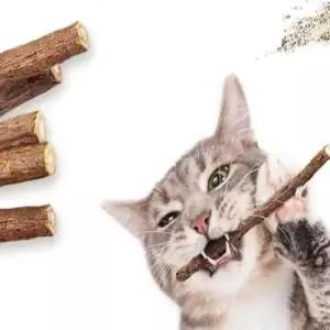 고양이치석 고양이이빨과자 고양이용품 10p