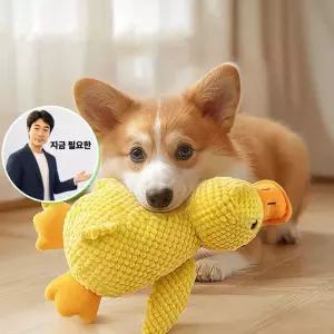 지금 필요한 봉제 인형 강아지 오리 삑삑이 애착 반려동물장난감