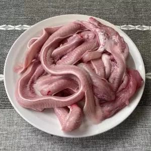 싱싱한 부산 꼼장어 1kg 10-15미 부산 곰장어 부산 꼼장어 택배 생물꼼장어 부산 산꼼장어 먹장어 생꼼장어