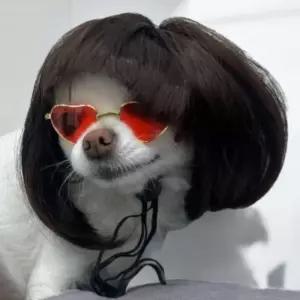 강아지단발머리 꾸미기 악세사리 가모자 개가 멋내기 앞머리 머리띠 코스튬