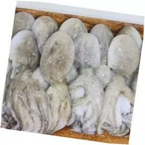 쭈꾸미 냉장 급속냉동 부드럽고 식감 급냉, 4kg