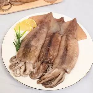 [더조은] 원양산 냉동 손질 통오징어 (팩당 260g 내외) 2미 x 3팩