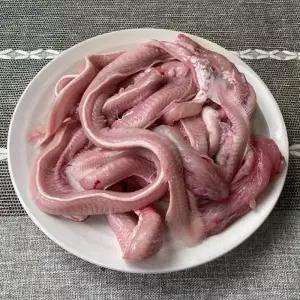 싱싱한 부산 꼼장어 1kg 10~15미 부산 곰장어 부산 꼼장어 택배 생물꼼장어 부산 산꼼