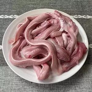 [셀러허브 식품]싱싱한 부산 꼼장어 1kg 10~15미 부산 곰장어 부산 꼼장어 택배 생물꼼장어 부산 산꼼 (41