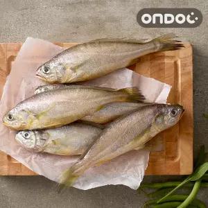 [온도씨]국내산 제주 참조기 10마리 (중/2팩/팩당5마리/마리당80g내외)