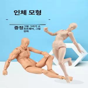 바디 피규어 인형 마네킹 아티스트 남성을 드로잉 마니킨 드로잉에 조인트 스케치 퍼펫 액션