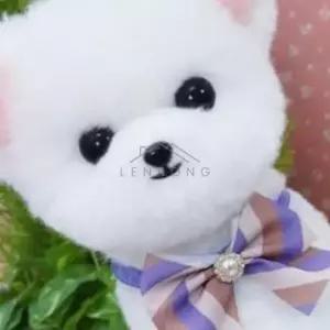 강아지패션목걸이 강아지파티용품 애견패션소품