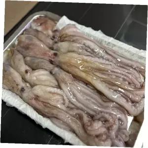 급냉 손질 연포탕 낙지 볶음용 영양 가정식 별미 요리 재료 식자재 수산물 냉동
