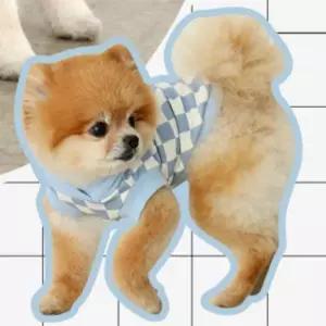 강아지 체크 옷 블루 민소매 데일리 나시 후디 여름 후드 여름옷 반려견