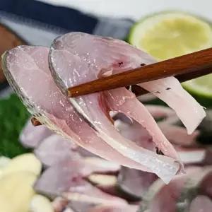 국내산 남해안 활 전어 세꼬시 300g (원물500g손질) 생물 손질전어 회 세꼬시