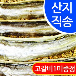 국내산 반건조 아나고(붕장어) 3마리(대 60cm)