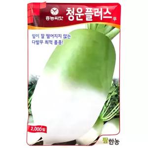 청운플러스무 2000립 26년 김장무씨앗