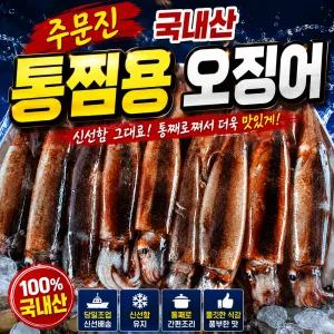 국내산 주문진 비손질 생물 오징어 통오징어 통찜용 10마리 신선도 유지를 위해 급속냉동하여 발송
