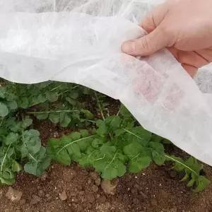 농업용 부직포 50g 못자리용 서리방지 보온 판매 농사 원예용품