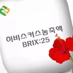 음료베이스 원액 늙은호박농축액 60Brix 20kg 대용량 베이스