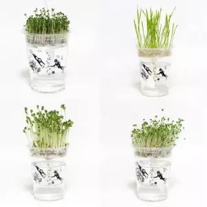 저면관수 미으 미니화분 새싹 키우기 DIY 원예용품