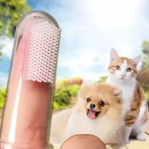 고양이 강아지 손가락 칫솔 1팩 5개 손가락 칫솔 강아지 고양이