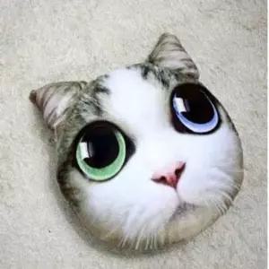 고양이 쿠션 홈데코
