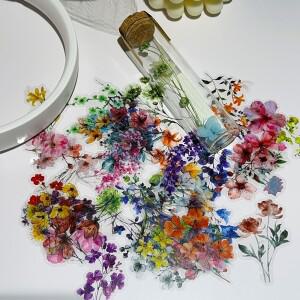50pcs 꽃 식물 스티커 핸드 텐트 DIY 스틱 라벨 Scrapbooking 재료 저널 용품 투명 애완 동물