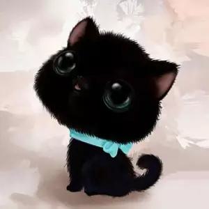 고양이보석십자수 동물보석십자수 검은색고양이 패브릭보석 비즈