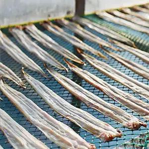 통영 반건조장어(대)3미