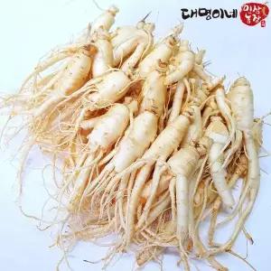[대명이네 인삼농장]작콩난발 30-80뿌리내외 750g/세척 인삼 수삼 주스용 홍삼용 삼계탕용