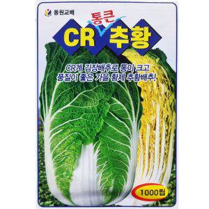[신세계몰]CR 통큰 추황 김장배추씨앗 1000립 뿌리혹병 강한종자