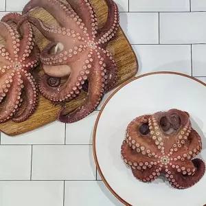 통통 돌문어 1kg(1-4미 내외)