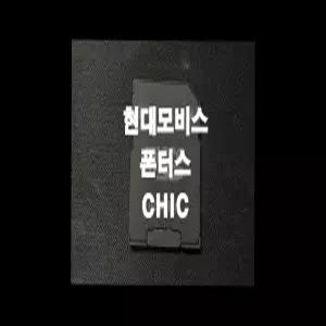 폰터스 CHIC 네비게이션 최신맵 업데이트 SD카드 (GINI 지도)