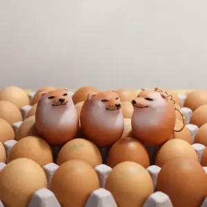 시바견 계란 시바 달걀 시바이누 키링 피규어