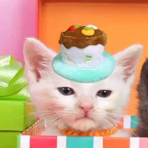 윤즈잡화 펫 생일케익 미니머리띠 민트 반려견생일모자