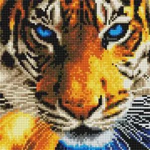 푸른 눈 호랑이 (캔버스) 보석십자수 25x25