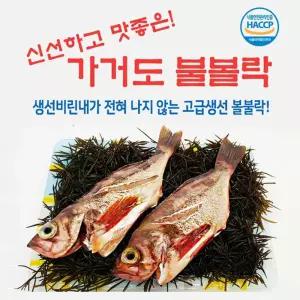 가거도 불볼락 특대 2마리 30cm전후 조기 참조기 가거도 볼락 불볼락