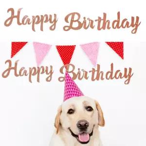 플로우마켓 해피파티 펫 이벤트 생일 해피버스데이 흘림체 가랜드 (로즈골드) 생일파티포토존