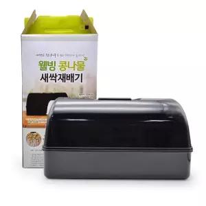 웰빙 콩나물 새싹 재배기 블랙 수경 싹틔우기 채소 씨앗 미니텃밧 베란다텃밭 땅