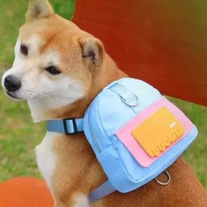 PET 강아지 가방 하네스 산책 유치원 가방 리드줄