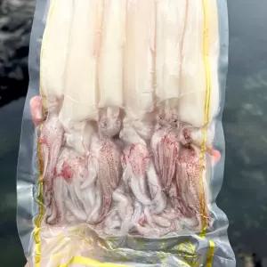 제주 손질 한치 1팩 500g 총1kg 생물 한치 제주 손질 회