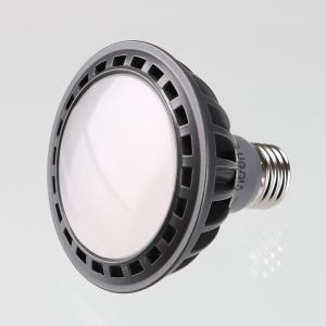 LED/PAR30/15W/확산형/스포트형 램프/KS인증/주광색/전구색/주백색