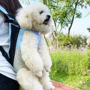 퍼피럽 반려견 강아지 앞 가방 포대기 파란색