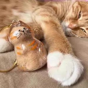 투명 반려동물 고양이 털 뭉치 보관 캡슐 키링