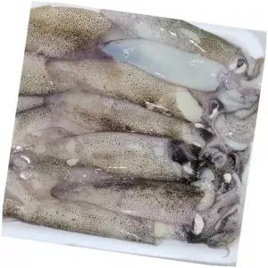 총알한치 오징어볶음 한치요리 술안주 소분, 1kg