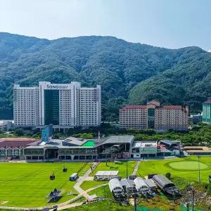 소노캄 비발디파크 객실+조식+오션+앤트월드+곤돌라+액티비티(성인2인+소인1인)(8/1~10/10투숙까지)