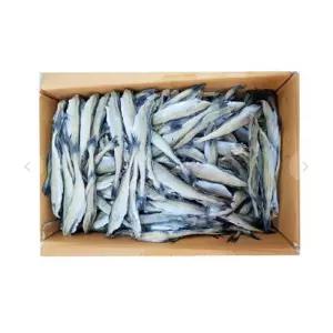 두절 노가리 대용량 10kg 21-23 사이즈 1박스